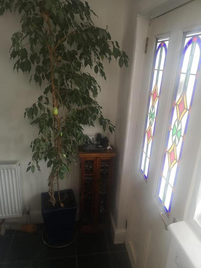 Uplands B And B St Ives Екстериор снимка
